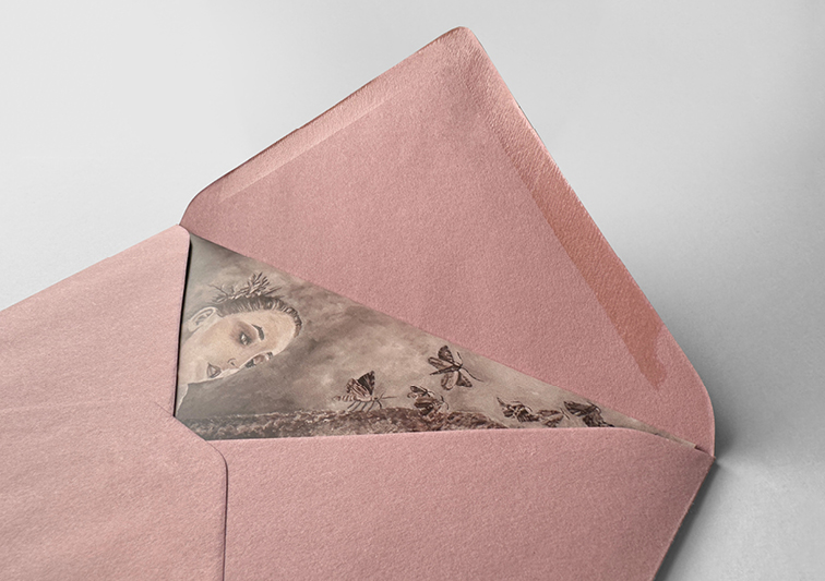 Sina Holste · Grafik Design & Illustration