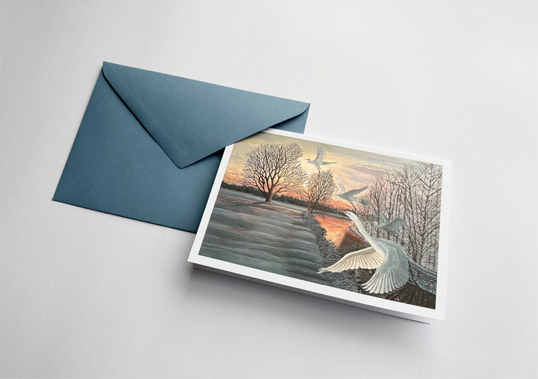 Sina Holste · Grafik Design & Illustration
