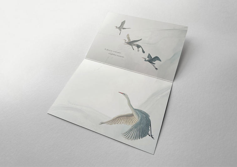 Sina Holste · Grafik Design & Illustration