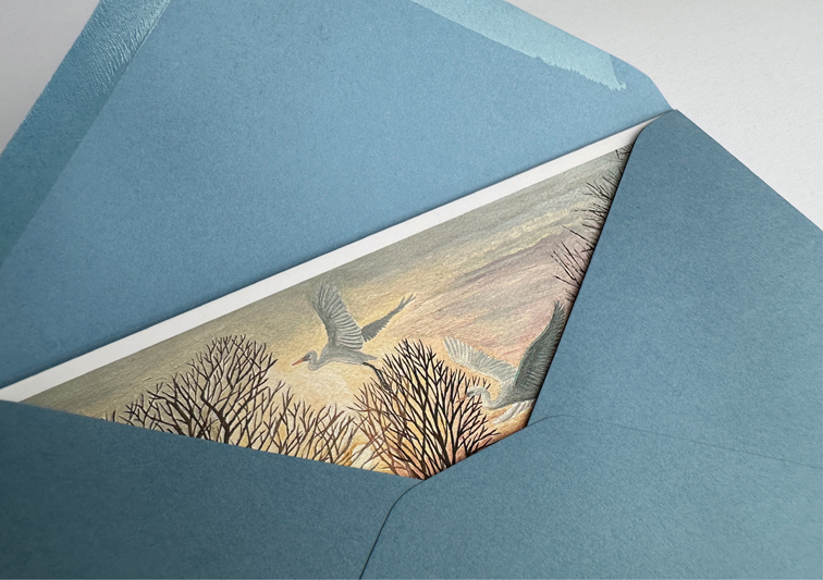 Sina Holste · Grafik Design & Illustration