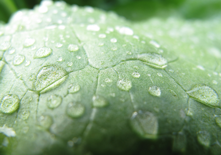 Sina Holste · Grafik Design & Illustration