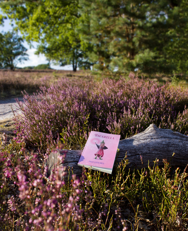 Kinderbuch in der Natur der Lüneburger Heide mit Buchcover Illustration einer Hexe mit Zauberstab und Himbeer Hexenhut