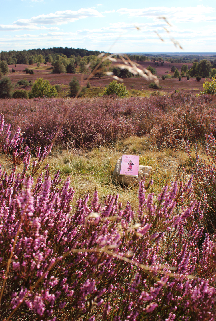 Kinderbuch in der Natur der Lüneburger Heide mit Buchcover Illustration einer Hexe mit Zauberstab und Himbeer Hexenhut