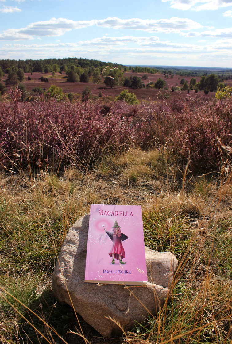 Kinderbuch in der Natur der Lüneburger Heide mit Buchcover Illustration einer Hexe mit Zauberstab und Himbeer Hexenhut