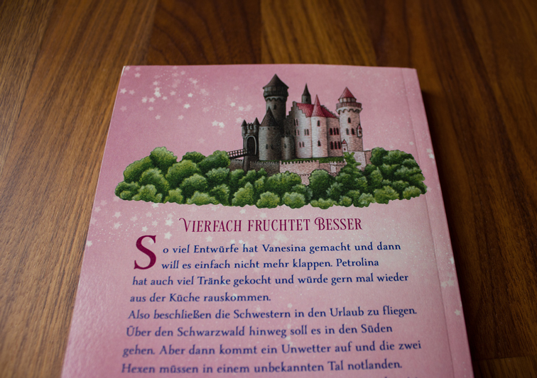 Kinderbuch Rückseite Detailaufnahme einer Illustration mit magischem Schloss und Himbeere