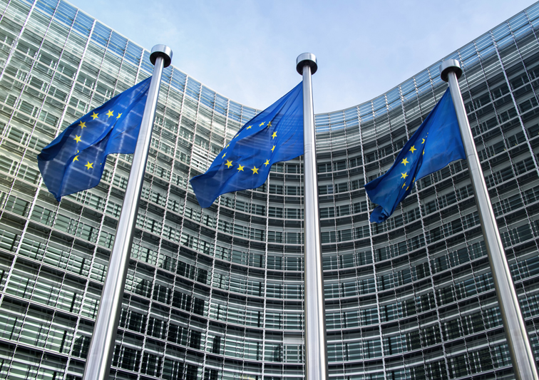 Sina Holste · Grafik Design & Illustration