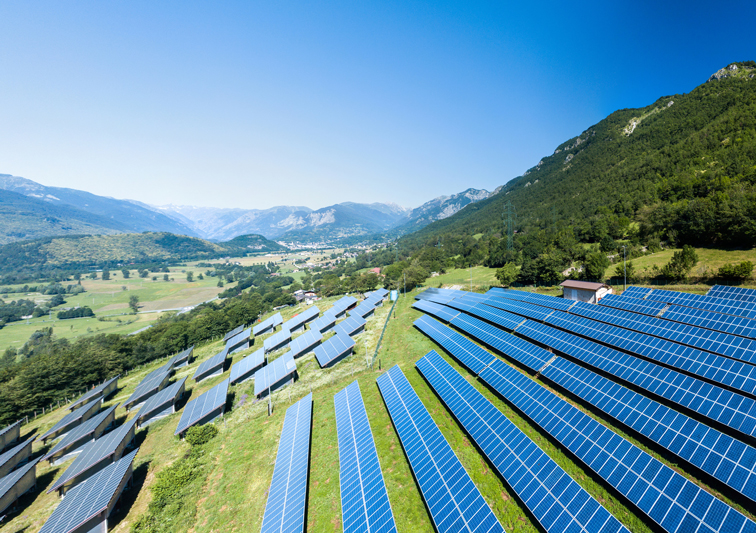 Sina Holste · Grafik Design & Illustration