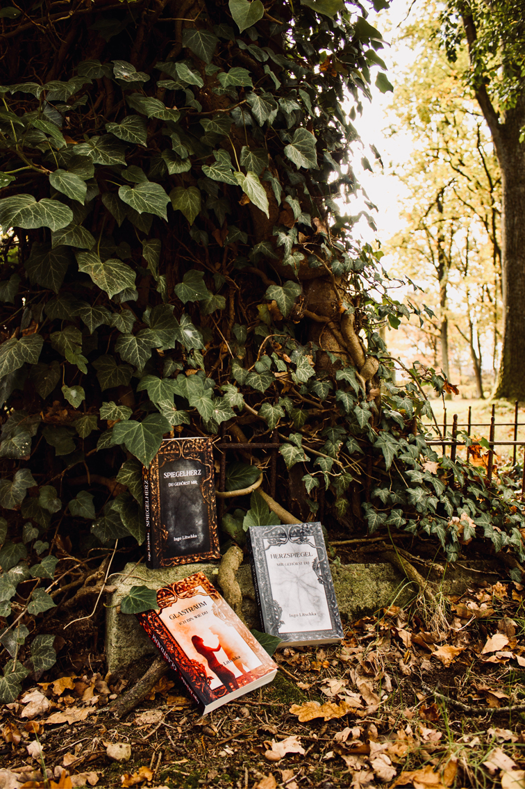 Historische Romane Buchreihe mit Cover Illustration in mystischer Kulisse