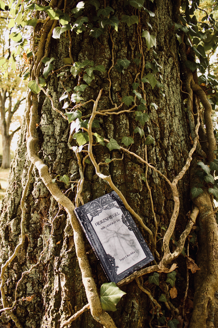 Historischer Roman Buchcover Design mit Spiegel Illustration in mystischer Umgebung