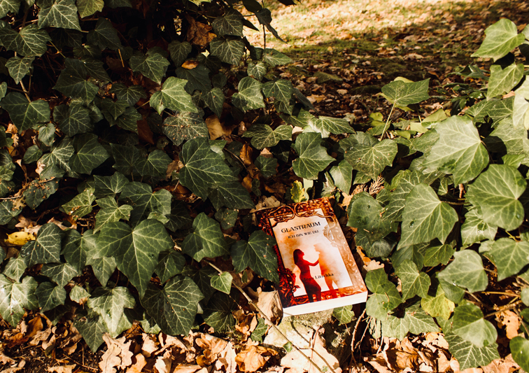 Historischer Roman Buchcover Design mit Spiegel Illustration in mystischer Umgebung