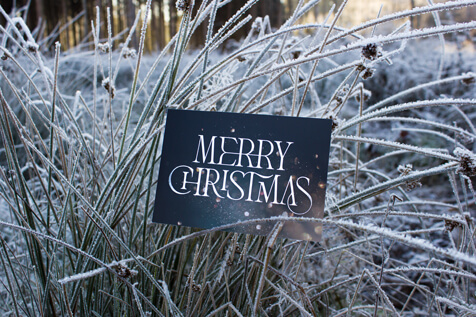 Sina Holste · Grafik Design & Illustration