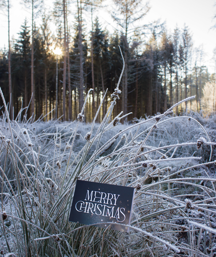 Sina Holste Design Weihnachtskarte Weihnachtskarte mit silberner Heißfolienveredelung in winterlicher Umgebung