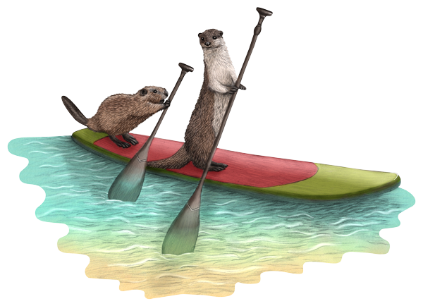 Sommerliche Illustration von einem Biber und Otter beim Stand Up Paddling