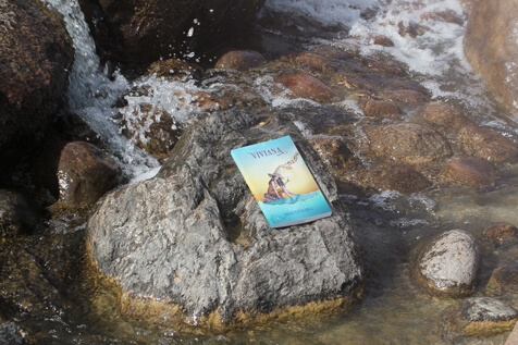 Sina Holste · Grafik Design & Illustration