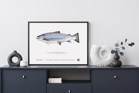 Sina Holste · Grafik Design & Illustration