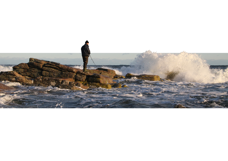 Sina Holste · Grafik Design & Illustration