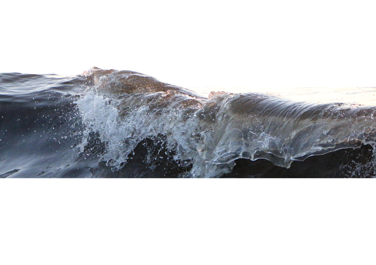 Sina Holste · Grafik Design & Illustration