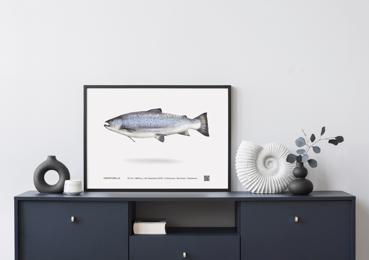 Sina Holste · Grafik Design & Illustration