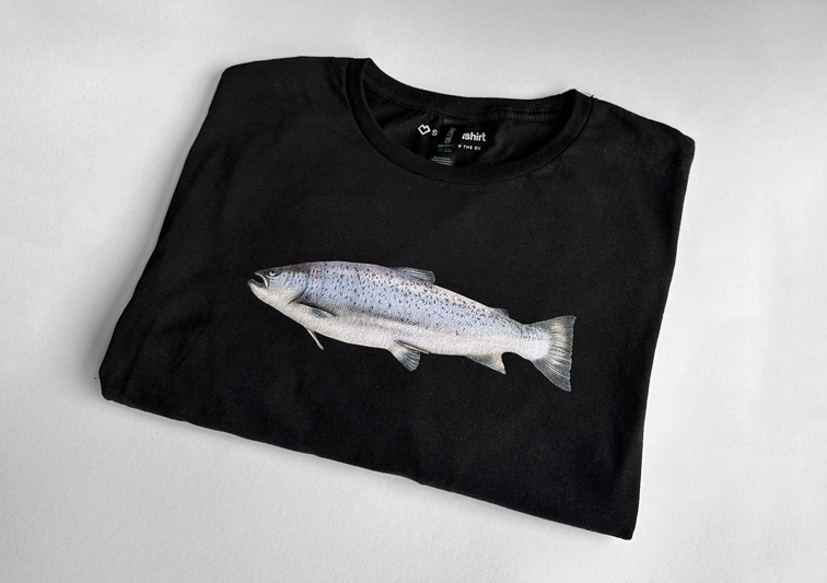 Sina Holste · Grafik Design & Illustration