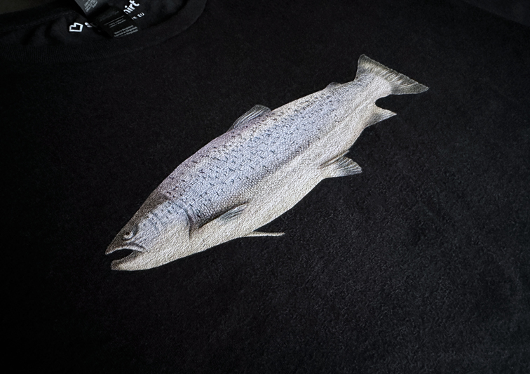 Sina Holste · Grafik Design & Illustration