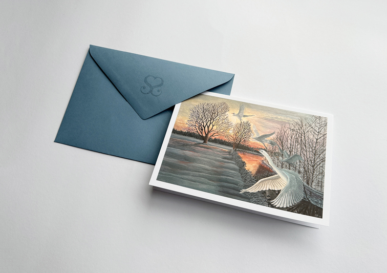 Sina Holste · Grafik Design & Illustration