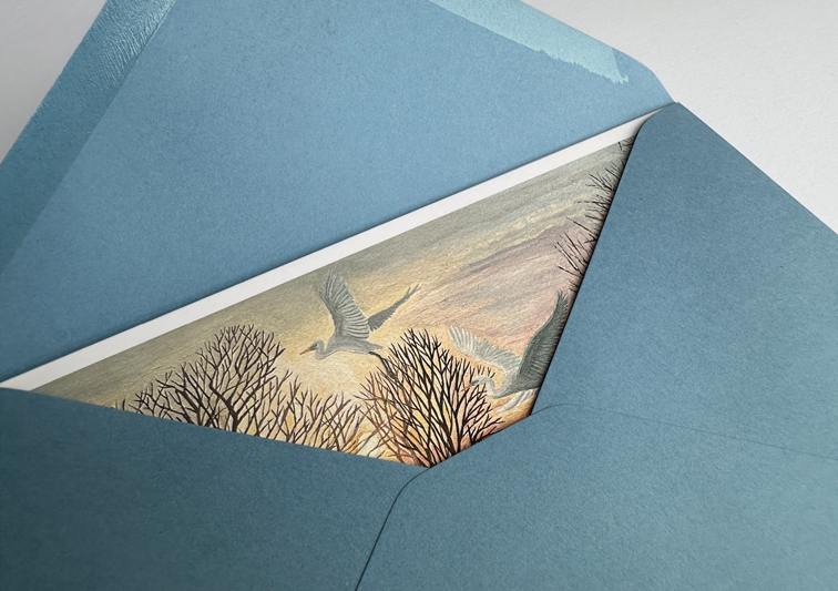 Sina Holste · Grafik Design & Illustration
