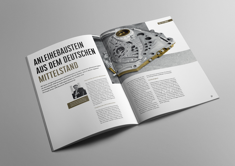 Sina Holste · Grafik Design & Illustration