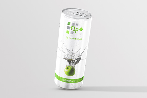 Sina Holste · Grafik Design & Illustration