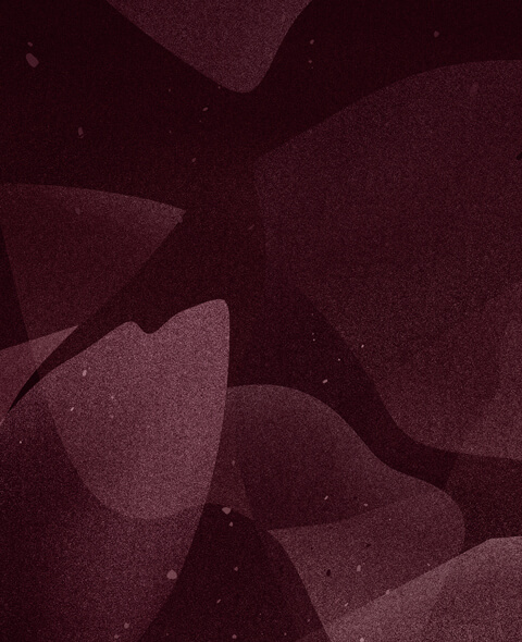 Sina Holste · Grafik Design & Illustration