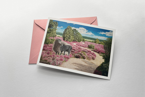 Sina Holste · Grafik Design & Illustration