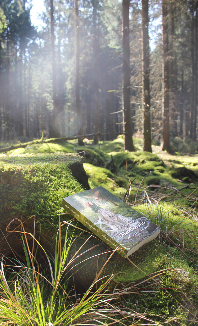 Sina Holste · Grafik Design & Illustration