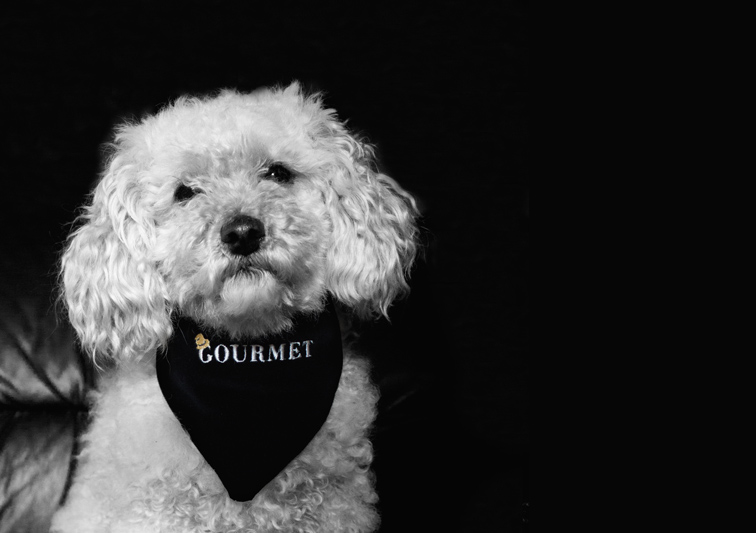 Sina Holste · Grafik Design & Illustration