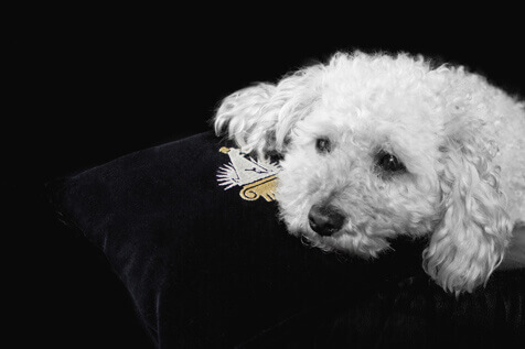 Sina Holste · Grafik Design & Illustration