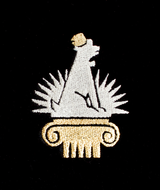 Sina Holste · Grafik Design & Illustration