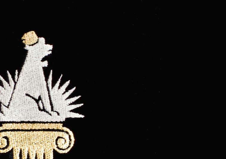 Sina Holste · Grafik Design & Illustration