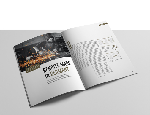 Sina Holste · Grafik Design & Illustration