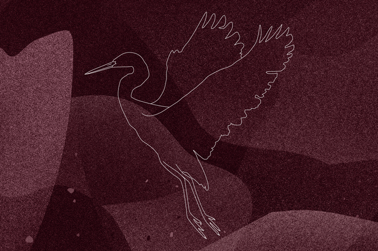 Sina Holste · Grafik Design & Illustration