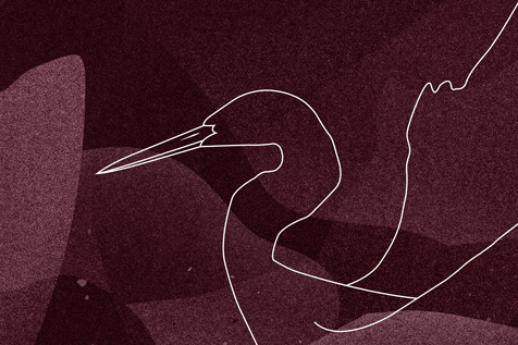 Sina Holste · Grafik Design & Illustration