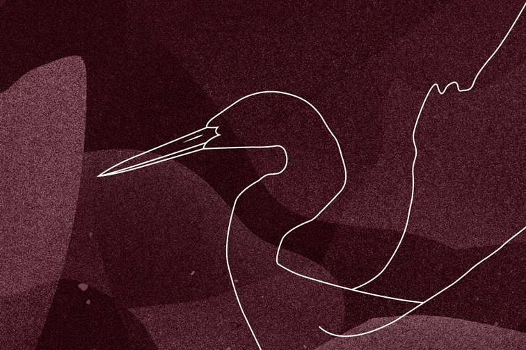 Sina Holste · Grafik Design & Illustration