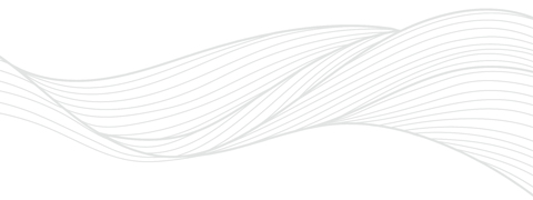 Sina Holste · Grafik Design & Illustration