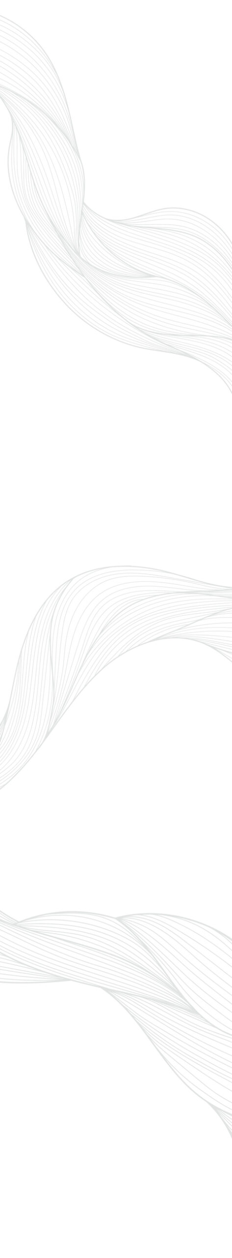 Sina Holste · Grafik Design & Illustration