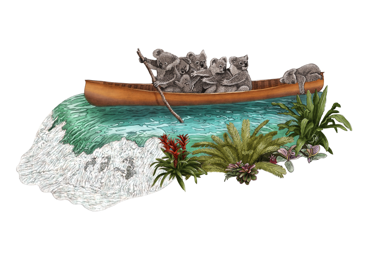 Sommerliche Illustration von Koalabären im Kanu am Wasserfall im Dschungel