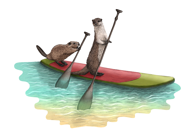 Sommerliche Illustration von einem Biber und Otter beim Stand Up Paddling