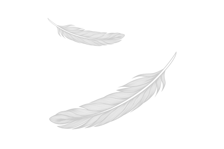 Sina Holste · Grafik Design & Illustration