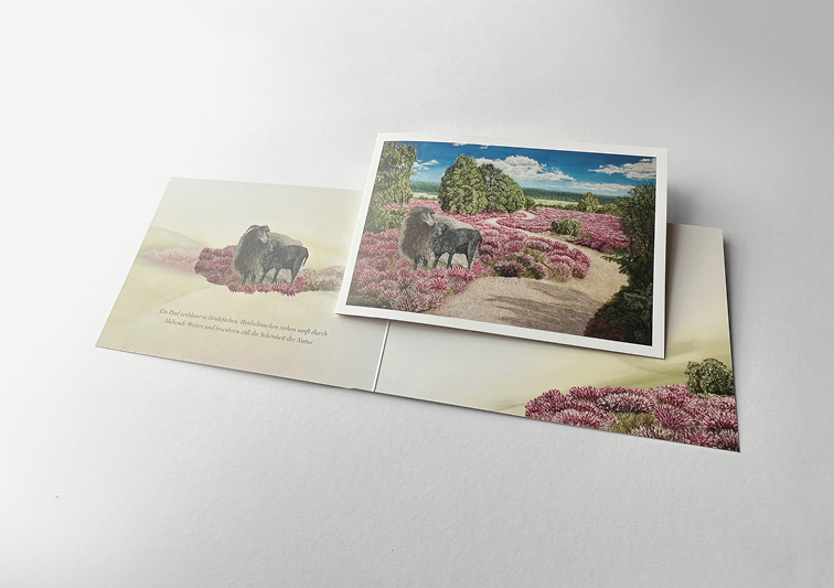 Sina Holste · Grafik Design & Illustration