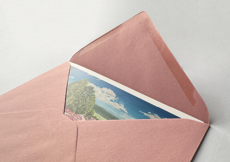 Sina Holste · Grafik Design & Illustration