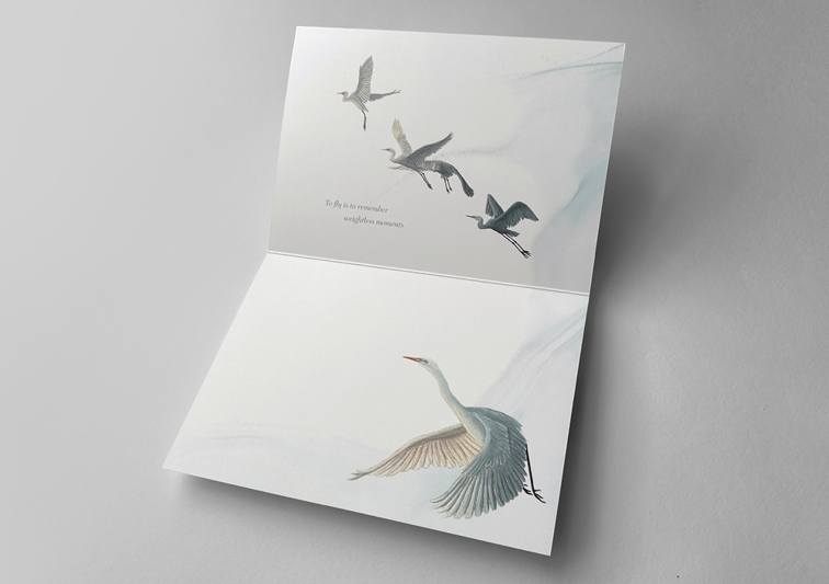 Sina Holste · Grafik Design & Illustration