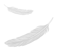 Sina Holste · Grafik Design & Illustration