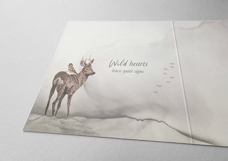 Sina Holste · Grafik Design & Illustration