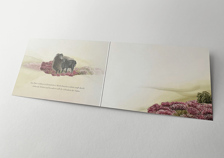 Sina Holste · Grafik Design & Illustration